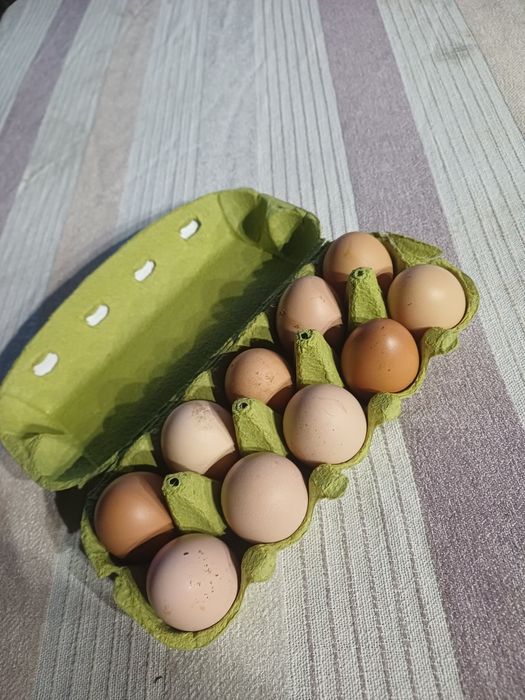 Oua de tara de vanzare.