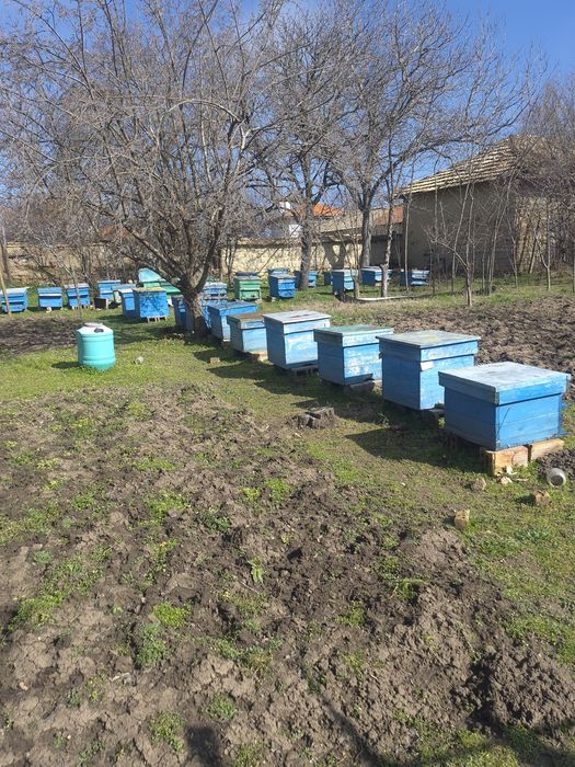 30 кошери здрави