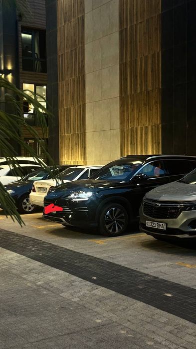 BYD CHEMPION song авто на мероприятия
