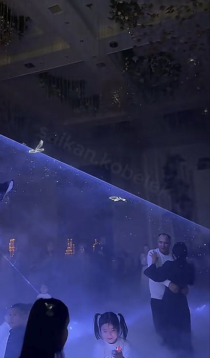 Летающая Бабочка  көбелек