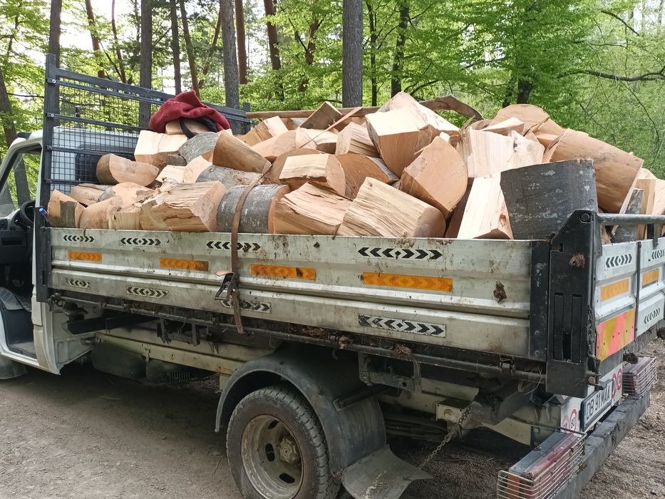 Lemne  pentru foc de fag