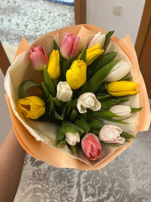 13 тюльпанов свежие