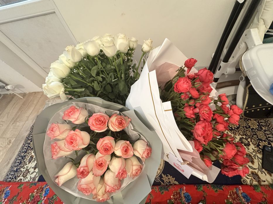 Продам цветы буу