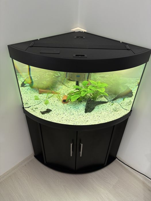 Vand Acvariu  cu Stand 190 Litri