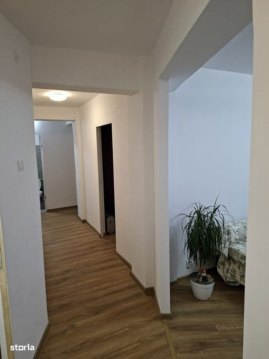 3 camere Banat , RENOVAT  Decomandat / Centrală , preț NEGOCIABIL
