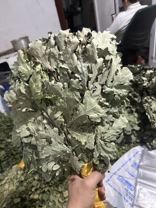 Веники для бани береза и дуб