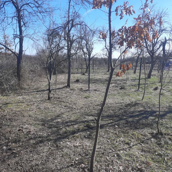 Casa de vanzare in jud.Timis