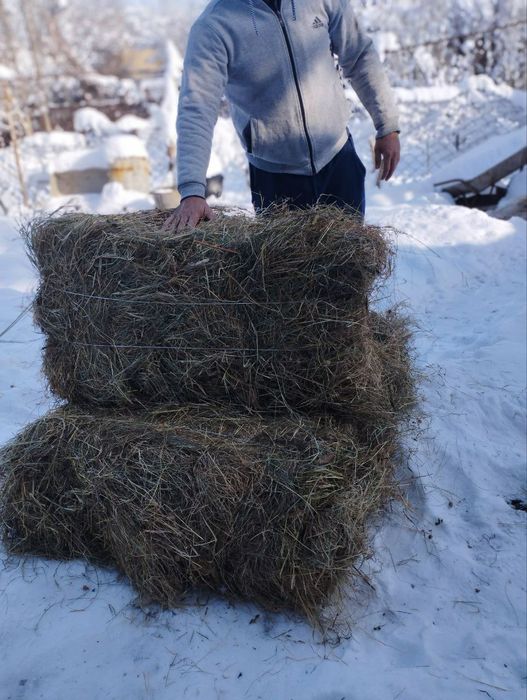 Press pchon, toza tikonsiz, standartdan kotta, 70 dona bor 35 mindan
