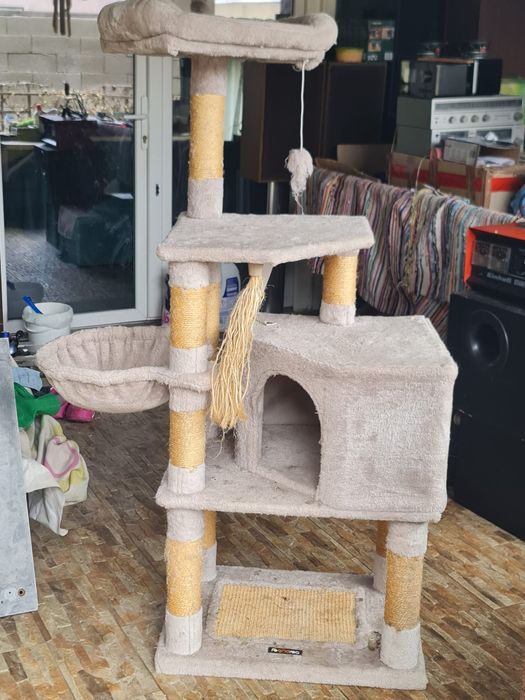 Ansamblu pentru pisici