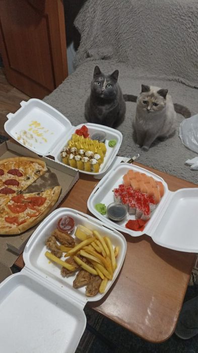 Отдам кошечку в добрые руки