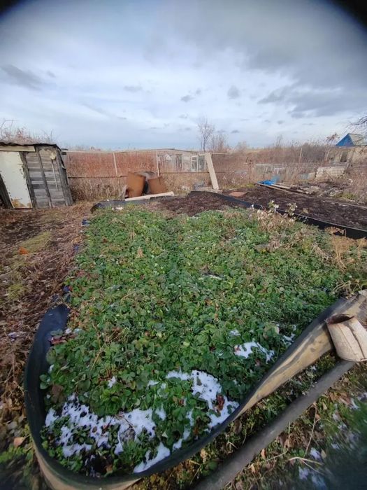 Дача Сады-1,6 квартал.