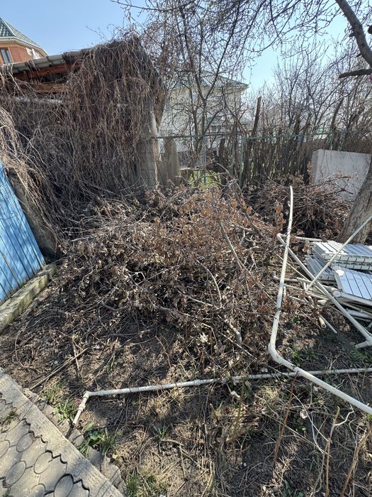 Бесплатно забрать дрова