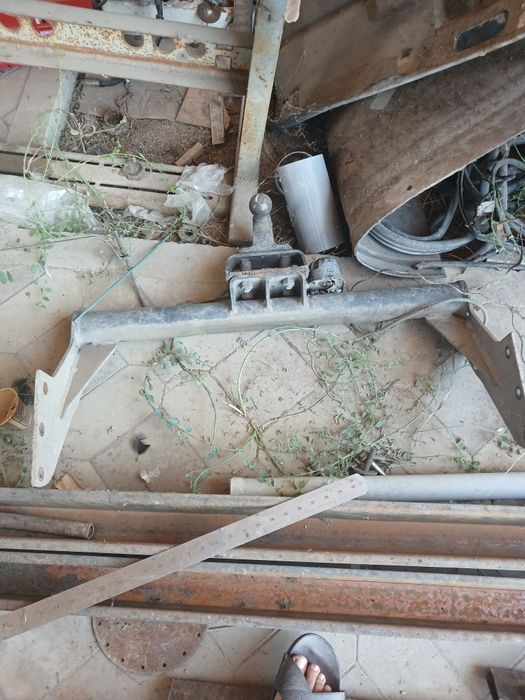 Bak totqich sotiladi