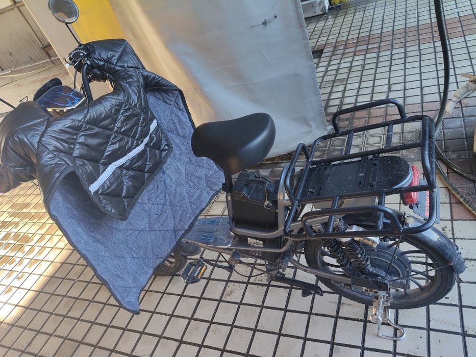 Boshijea elektra velik