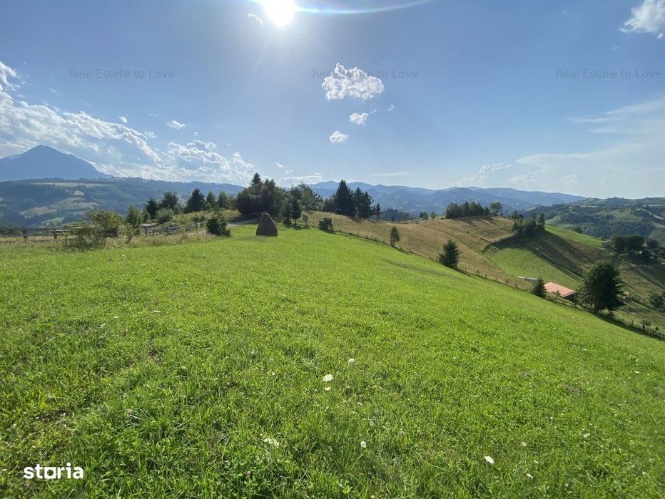 Teren Poiana Marului -Zarnesti -Brasov