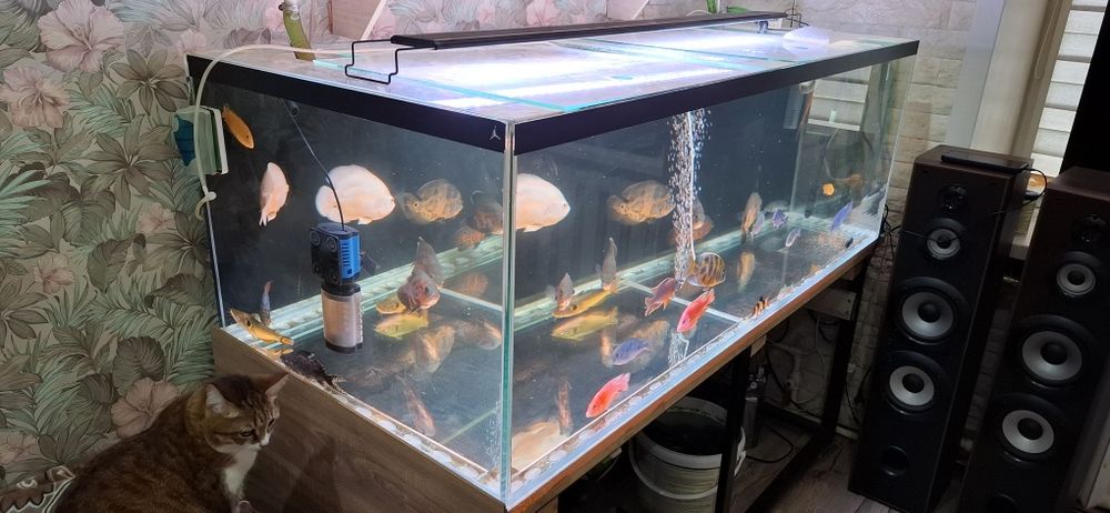 Продаю большой аквариум.