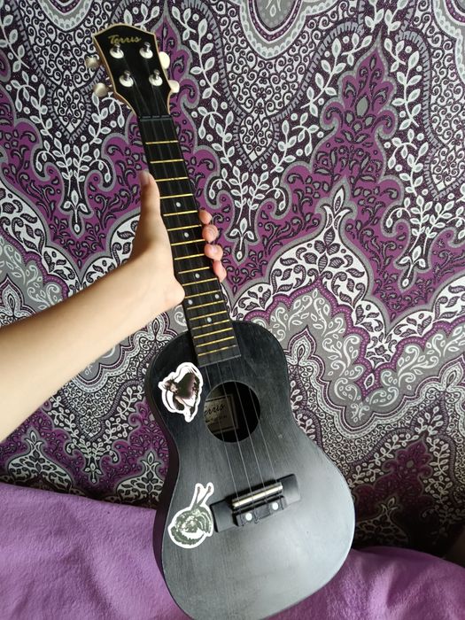 Сопрано Укулеле от Terris