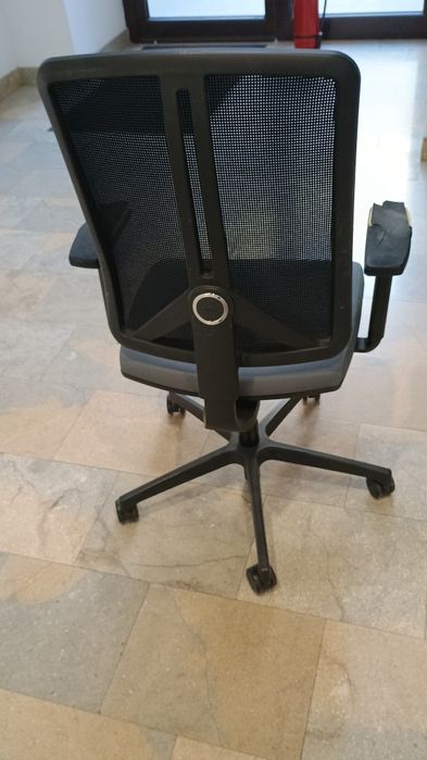 Scaun ergonomic Lux