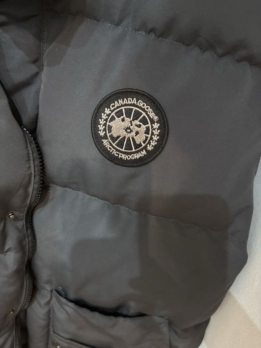 Vesta canada goose