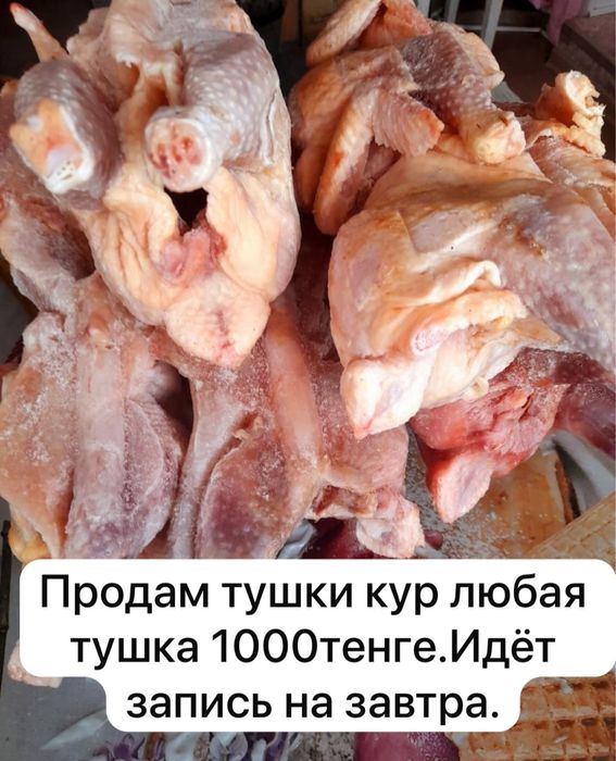 Мясо кур домашнего