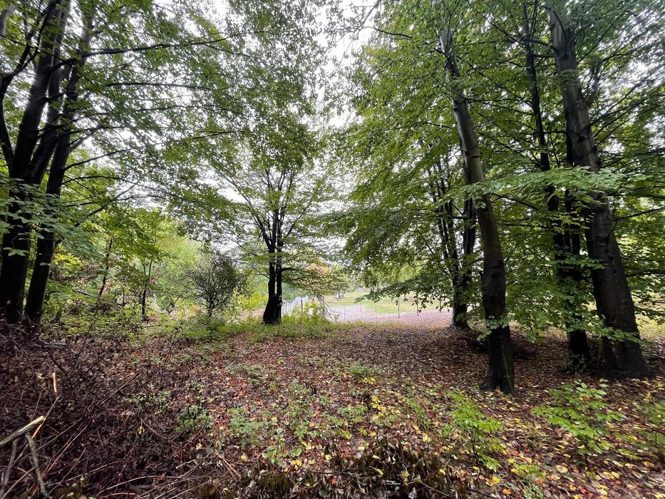 Ocazie Investitie! Teren intravilan in pădure-Poiana Lazului-Breaza PH