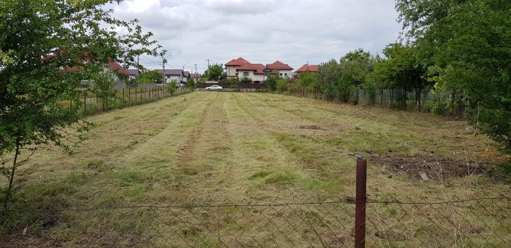 Cosire curatare defrisare tocare iarba arbusti rugi ambrozie