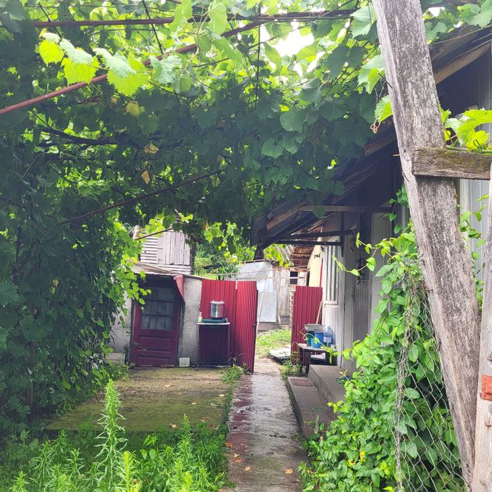 Vand Casa Comuna Buda