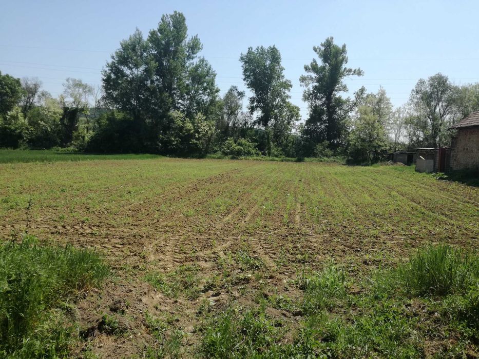 Teren intravilan, construibil, Vladimir-Andreesti, jud.Gorj 5390mp