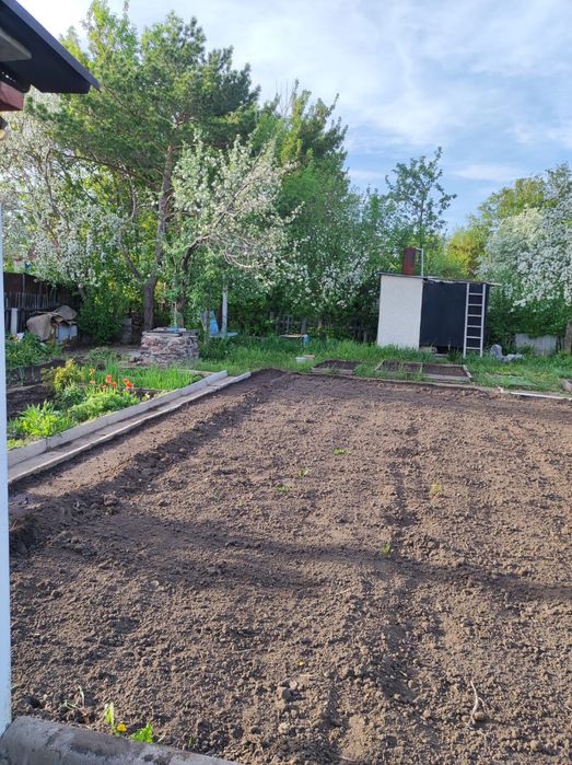 Срочно продам дачу  общество ромашка