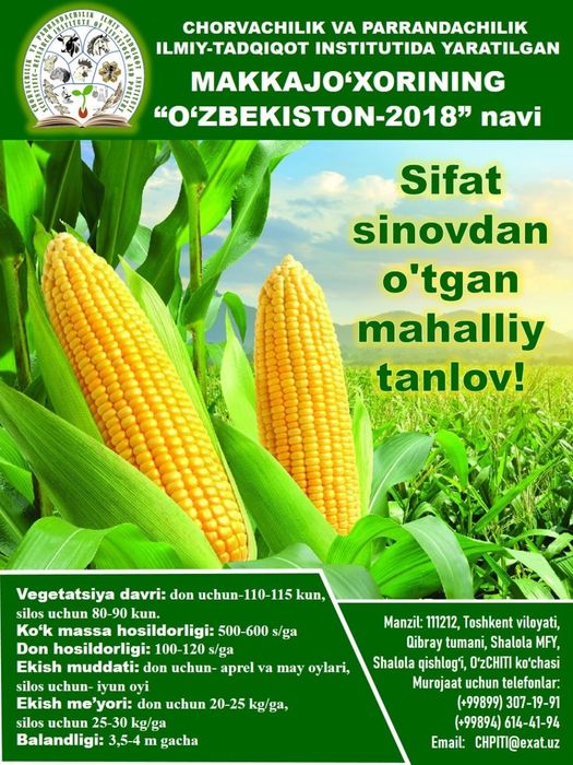 Joʻxori "Oʻzbekiston 2018" navi