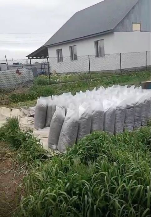 Био-гумус (вермикомпост) натуральное удобрение для сада и огорода