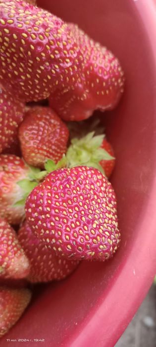 Продам дачу в чистом районе.  Трасса остановки.