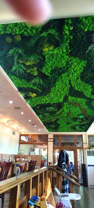 Зелени стени,пана,фирмени лога и картини от скандинавски