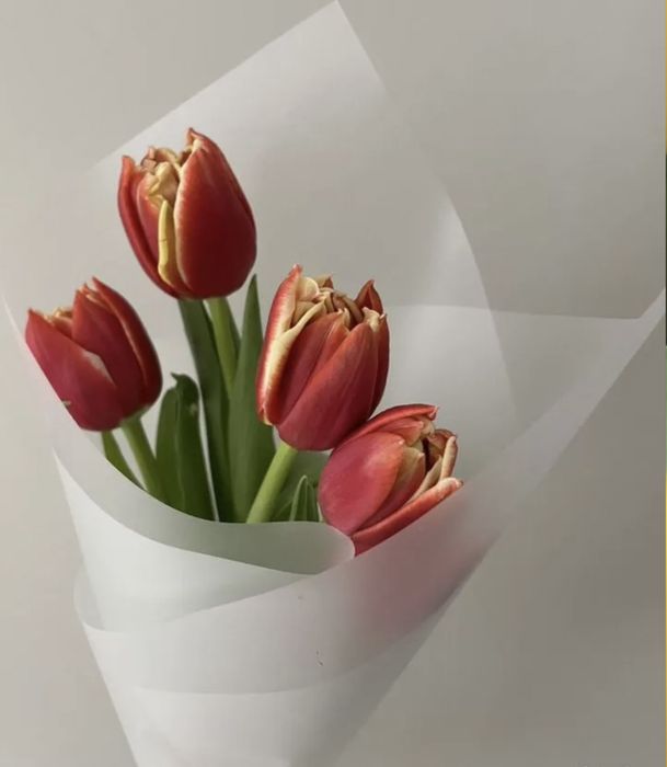 Тюльпаны с оформлением