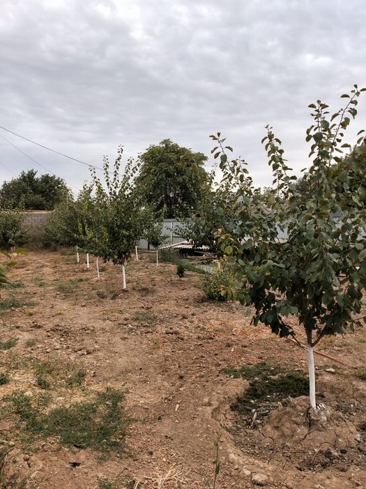 Продаётся дом ЖД вокзал