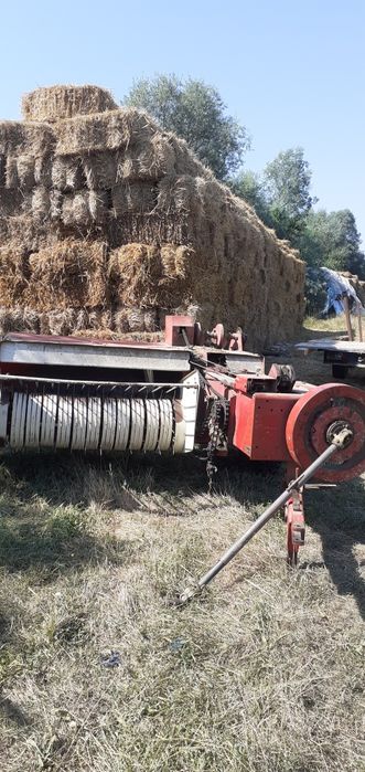 Vând baloti de paie