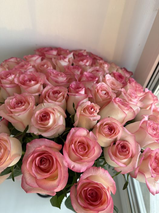 Продам свежие цвети 51 роза