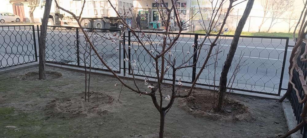 Забор прочный продам всё сразу