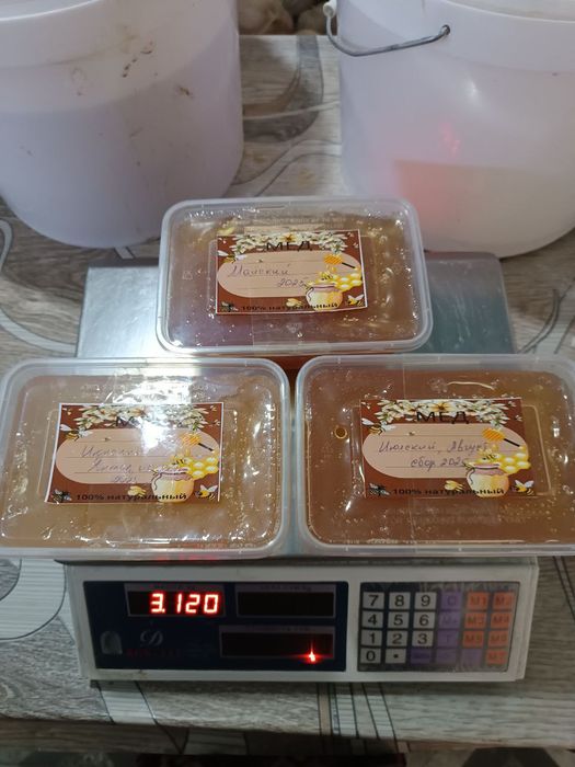 Asal choʻl asali (Мед пустынный)