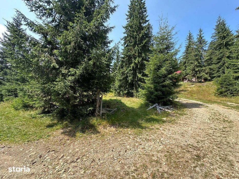 Teren in MĂRIȘEL pretabil pentru cabana | PĂDURE | Front la DN