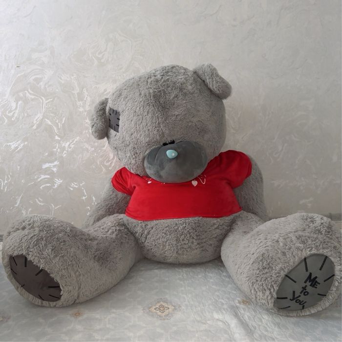 Teddy ayiq sotiladi yangi xolati