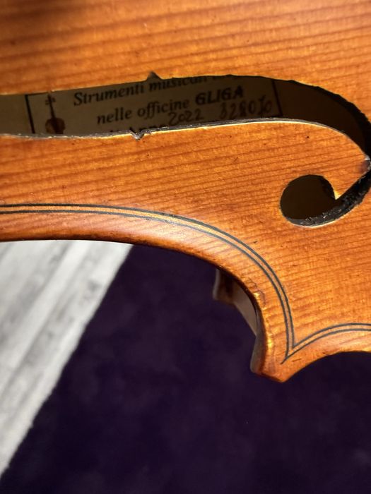 Vioara 1/2 Gliga