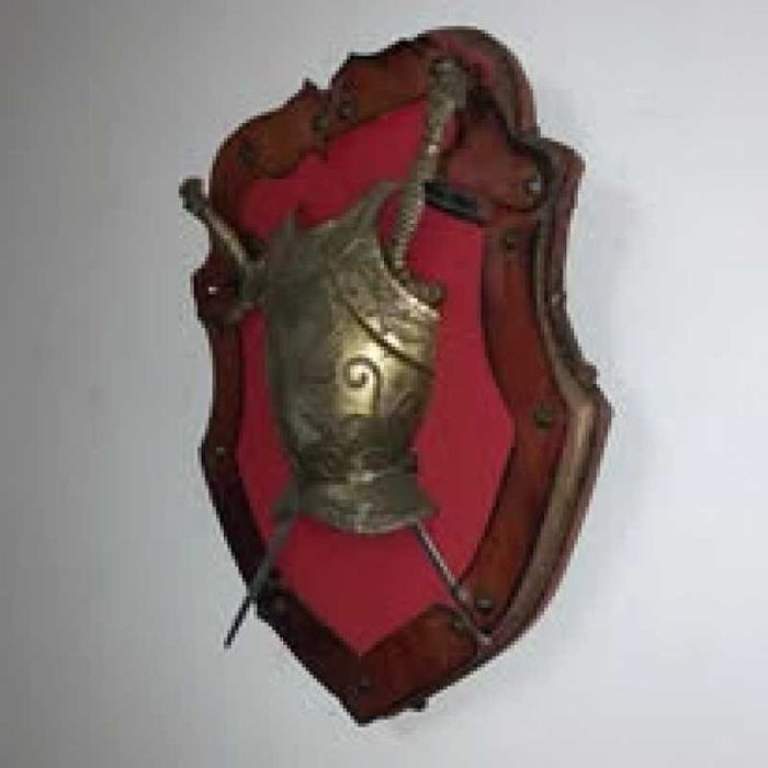 Panoplie sabii cu scut