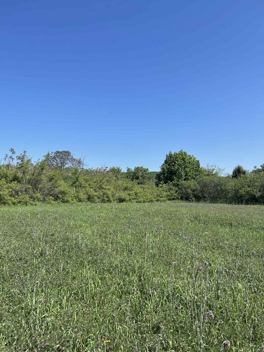 Продава се Парцел в с. Винарово, Област Стара Загора - 1720 кв.м за 25 €/кв.м - Снимка #3