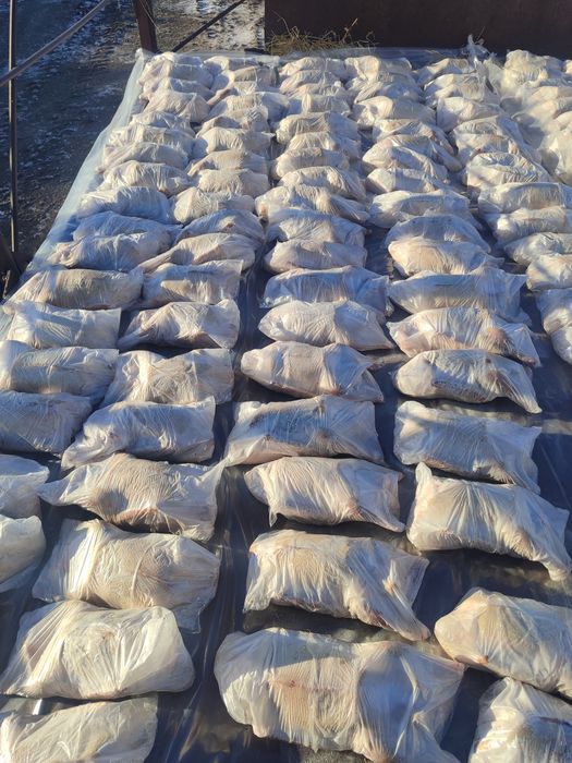 Продам мясо гуся