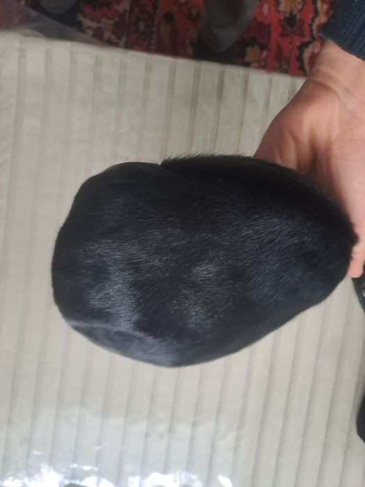 Фурашка российский