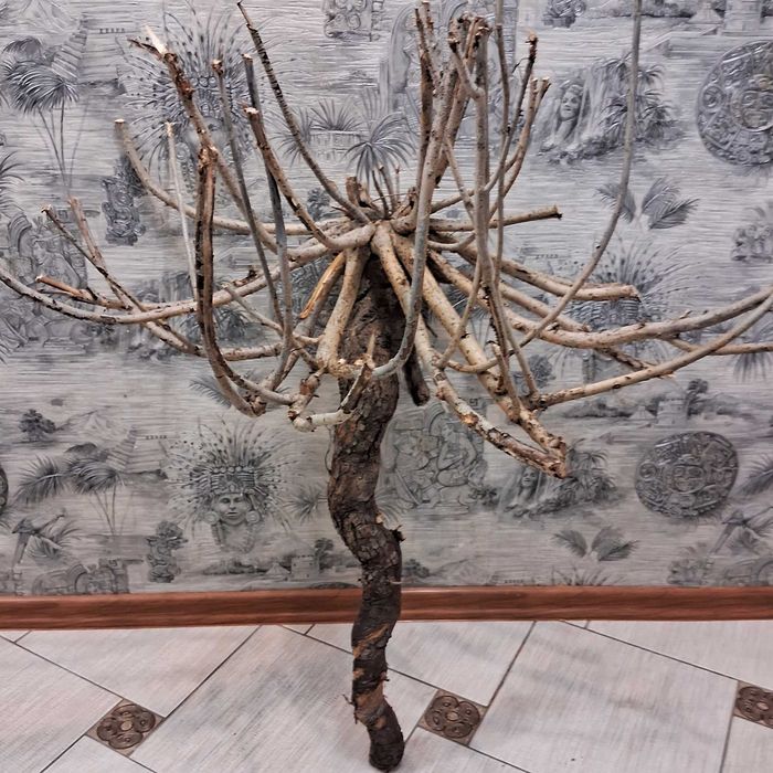 Коряга в аквариум