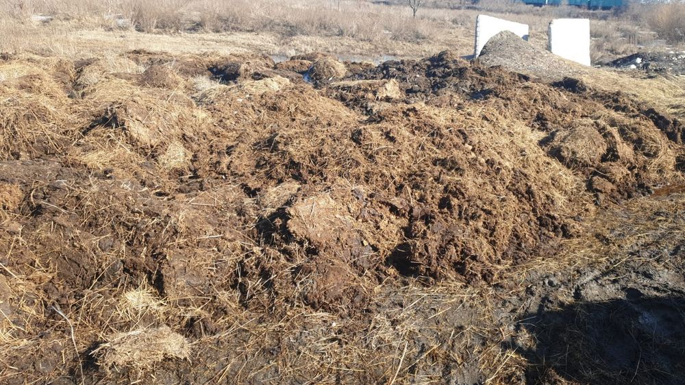 Предлогаем навоз