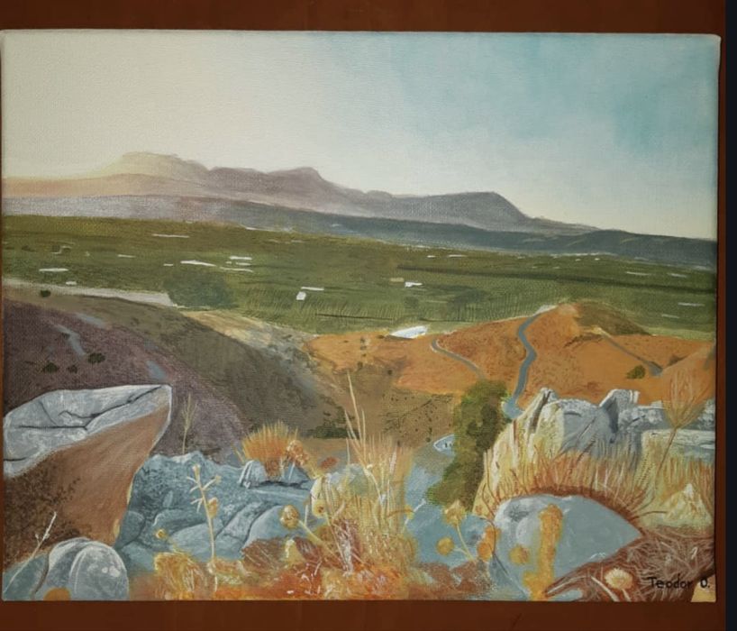 Portrete/Picturi din creion/culori pe orice format