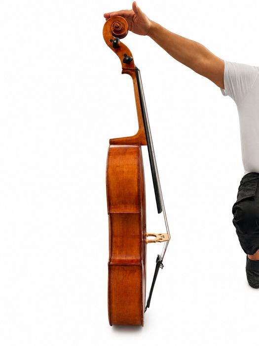 Violonchel 4x4 olchamdagisi